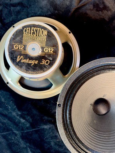 Coppia coni celestion t3904a - coni,